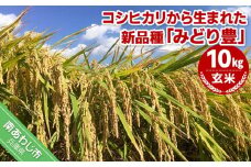 令和６年産・玄米『みどり豊』10kg　10月初旬頃から発送
