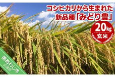 令和６年産・玄米『みどり豊』20kg　10月初旬頃から発送