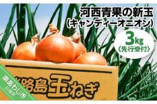 【先行予約】河西青果の新玉（キャンディーオニオン）3ｋｇ◆配送５月初旬～６月末