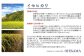 イセヒカリ　10kg（5kg×2）　玄米　栽培期間中農薬不使用　あいがも農法米