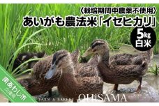 令和6年産　イセヒカリ　５kg　白米〈栽培期間中農薬不使用　あいがも農法米〉