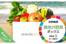 【シーサイドグロサリー】淡路島産規格外野菜ボックス・Sサイズ（お一人様向け）