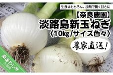 農家直送！淡路島新玉ねぎ ≪10kgサイズ色々≫