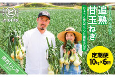 【6ヶ月定期便】「追熟甘玉ねぎ」10kg