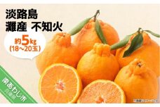 【期間限定】 淡路島灘不知火 約５kg（18～20玉）