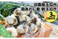 淡路島玉ねぎ　南あわじ産　新玉ねぎ（超極早生）３kg