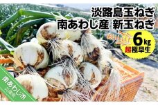 淡路島玉ねぎ　南あわじ産　新玉ねぎ（超極早生）６kg　期間限定！　◆配送２月～