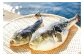 【若男水産】【淡路島3年とらふぐ】松　ふぐ鍋　刺身・白子セット（2人前）