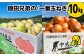 原田兄弟の一番玉ねぎ　10kg