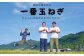 原田兄弟の一番玉ねぎ　10kg
