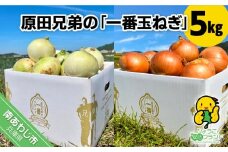 原田兄弟の一番玉ねぎ　５kg
