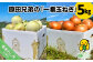 原田兄弟の一番玉ねぎ　５kg