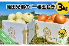 原田兄弟の一番玉ねぎ　３kg