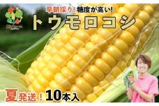 【令和７年産】早朝採りトウモロコシ10本セット　◆配送６月下旬～７月頃