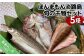ほんまもん淡路島　旬の干物セット（5種）
