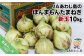 ＪＡあわじ島のほんまもんたまねぎ【10㎏】新玉ねぎ早生種