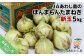 ＪＡあわじ島のほんまもんたまねぎ【5㎏】新玉ねぎ早生種