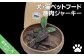 ペットフード　鹿肉ジャーキー