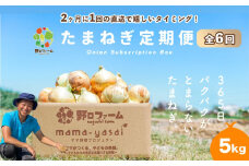 【全６回・２ヶ月に１回定期便】mama-yasai たまねぎ５kg