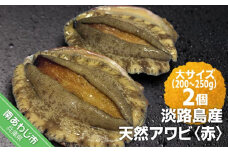淡路島産天然アワビ（赤）大サイズ〈2個〉