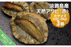 淡路島産天然アワビ（赤）大サイズ〈3個〉
