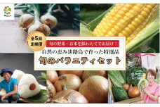 【野口ファーム】【全５回定期便】 贅沢！旬のバラエティセット