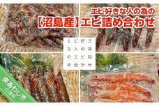 【マコトの魚屋さん】【沼島産】エビ好きな人の為のエビ詰め合わせ（足赤エビ・シラサエビ・パチエビ・足赤エビの味噌漬け）　◆配送11/1～2/28