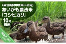 令和6年産　コシヒカリ　10Kg(5kg×2)　白米　栽培期間中農薬不使用　あいがも農法米