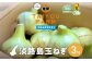 淡路島産 早採り新玉ねぎ ３kg