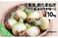 【ONOKORO商店】淡路島 新たまねぎ 10kg