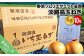 【野菜ソムリエサミット金賞】淡路島玉ねぎ10kg【仲田青果の淡路島いち玉ねぎ】