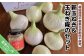 新玉ねぎ＆玉ねぎこうじのセット