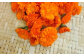 カレンデュラの花