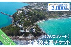 全施設共通チケット 3,000円相当