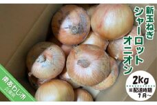 新玉ねぎ シャーロットオニオン 2kg  ◆配送７月上旬～９月末