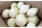 やさしやの玉ねぎ「島珠」(むき玉ねぎ) 2kg