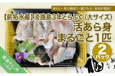 【冷蔵配送】淡路島3年とらふぐ（大サイズ）活あら身まるごと1匹　2Pセット◆配送期間10月25日～3月31日