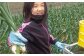 中山さんちから直送　淡路島たまねぎ