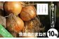 中山さんちから直送　淡路島たまねぎ