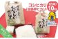 【淡路夢ファーム】　コシヒカリ（淡路夢ヒカリ）10ｋｇ