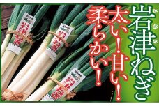 【先行予約】朝来市特産「岩津ねぎ」2㎏（箱入り） 岩津ねぎ 岩津ネギ 新鮮 国産 甘い 太い 柔らかい 香り豊か 幻のねぎ 天ぷら 鍋 焼きねぎ ネギ すき焼き 朝来市 限定 TVで紹介