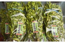 朝来産の丹波黒枝豆(枝付き２kg)【10月中旬から順次発送】