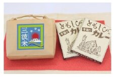 【新米予約】ともしびカレー店のカレー2箱と三波米2kg（2kg×1袋）セット 4人前 令和6年産 新米予約 減農薬 コシヒカリ お米 安心 安全 良質 美味しい 計2㎏ お試し 竹田城跡 三波地区 きれいな水【AS2BA9】