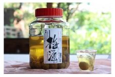 竹泉 純米山田錦仕込 氷温熟成 梅酒