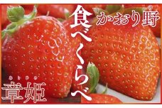 【先行予約】坪井農園のいちごスペシャルセット2箱（章姫・かおり野） いちご イチゴ 苺 大粒 甘い 章姫 あきひめ かおり野 かおりの セット ジューシー 上品な香り 甘み 酸味 天然肥料 安心 安全 兵庫県 朝来市 坪井農園
