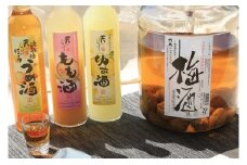 あさご果実酒三昧…2酒蔵の果実酒セット