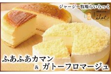 ジャージー牧場らいらっく ふあふあカマン＆ガトーフロマージュ チーズケーキ 自家牧場 ジャージー牛 ミルク カマンベール 手作り 濃厚 風味豊か らいらっく テレビで紹介 AS1BB18