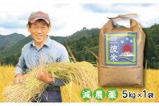 【先行予約】令和7年産 減農薬 三波農地を守る会のコシヒカリ 5kg（5kg×1袋） 令和7年産 先行予約 新米予約 減農薬 コシヒカリ お米 安心 安全 良質 美味しい 計5㎏ お試し 竹田城跡 三波地区 きれいな水【AS2BB20】