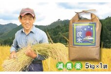 【先行予約】令和7年産 減農薬 三波農地を守る会のコシヒカリ 5kg（5kg×1袋） 令和7年産 先行予約 新米予約 減農薬 コシヒカリ お米 安心 安全 良質 美味しい 計5㎏ お試し 竹田城跡 三波地区 きれいな水【AS2BB20】