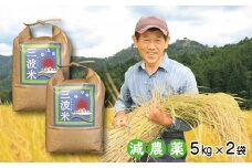 【先行予約】令和7年産 減農薬 三波農地を守る会のコシヒカリ 10㎏（5kg×2袋） 令和7年産 先行予約 新米予約 減農薬 コシヒカリ お米 安心 安全 良質 美味しい 計10㎏ お試し 竹田城跡 三波地区 きれいな水【AS2CA12】